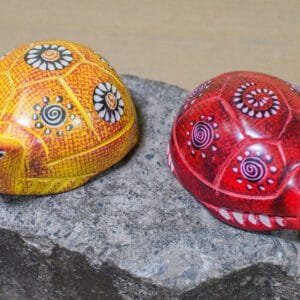 CURIO TORTOISE