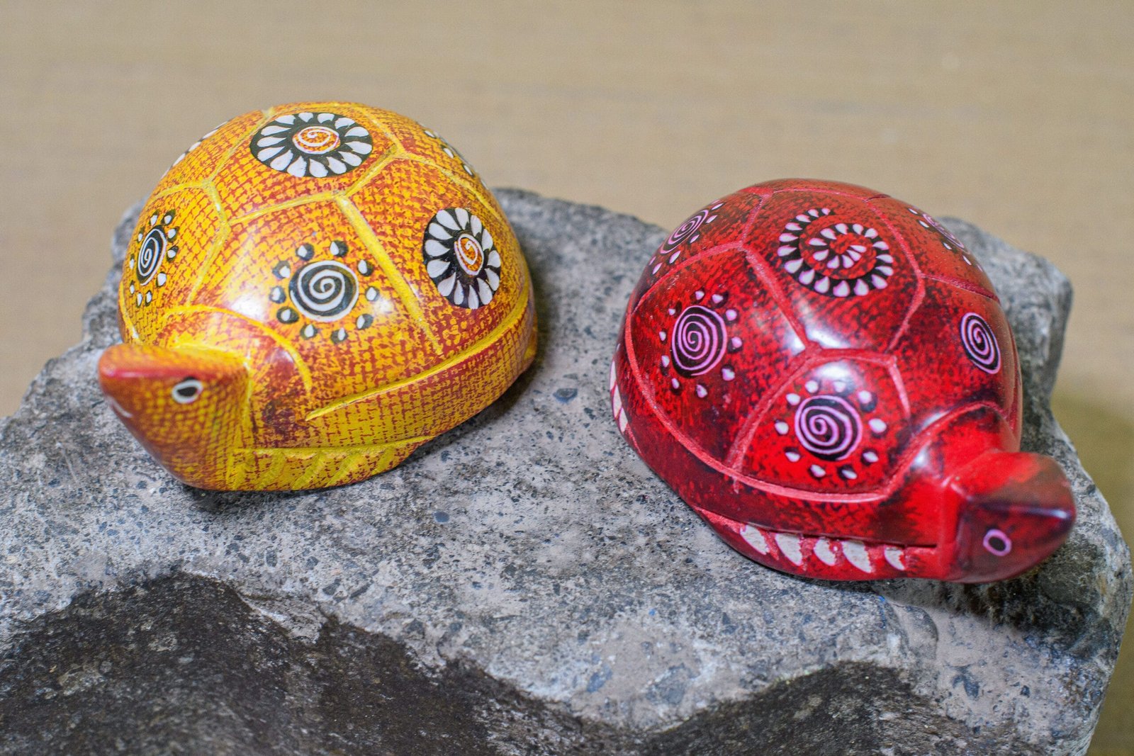 CURIO TORTOISE CURIO TORTOISE scaled