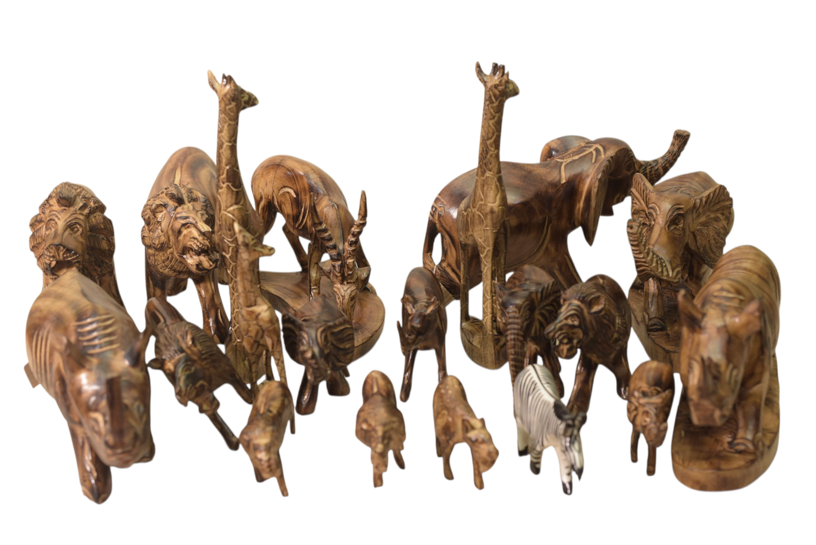 ASSORTED ANIMALS ASSORTED ANIMALS